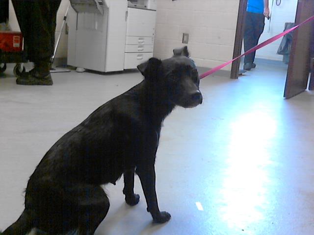 ID#A422539
