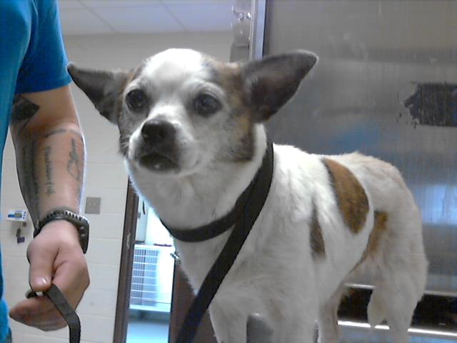 ID#A422582