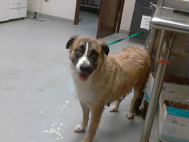 ID#A422624