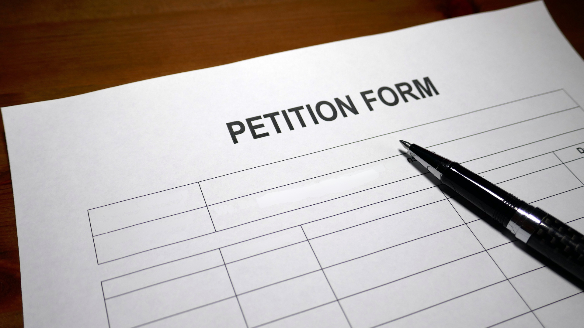 Notice of Candidacy by Petition