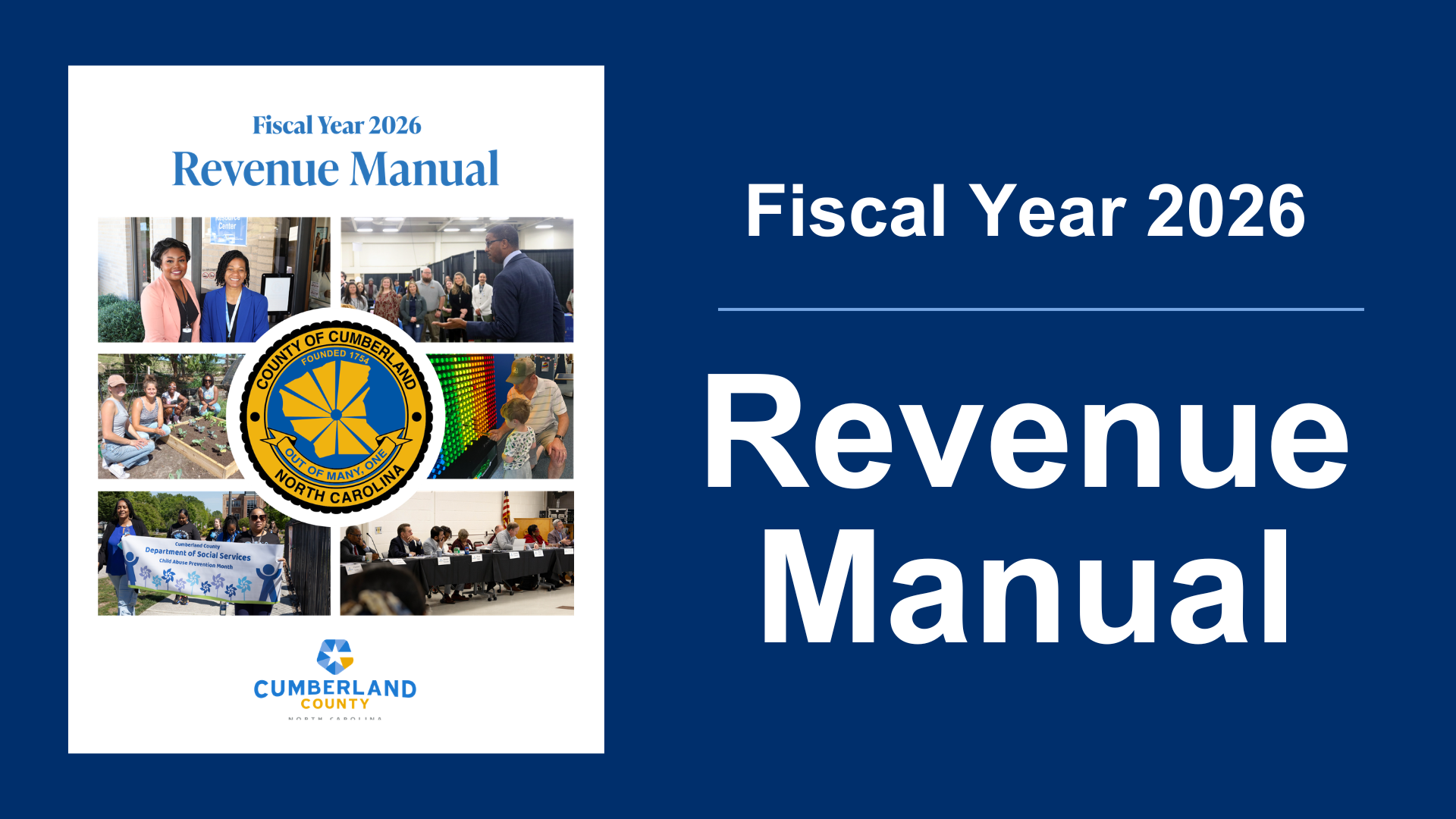 revenue_manual