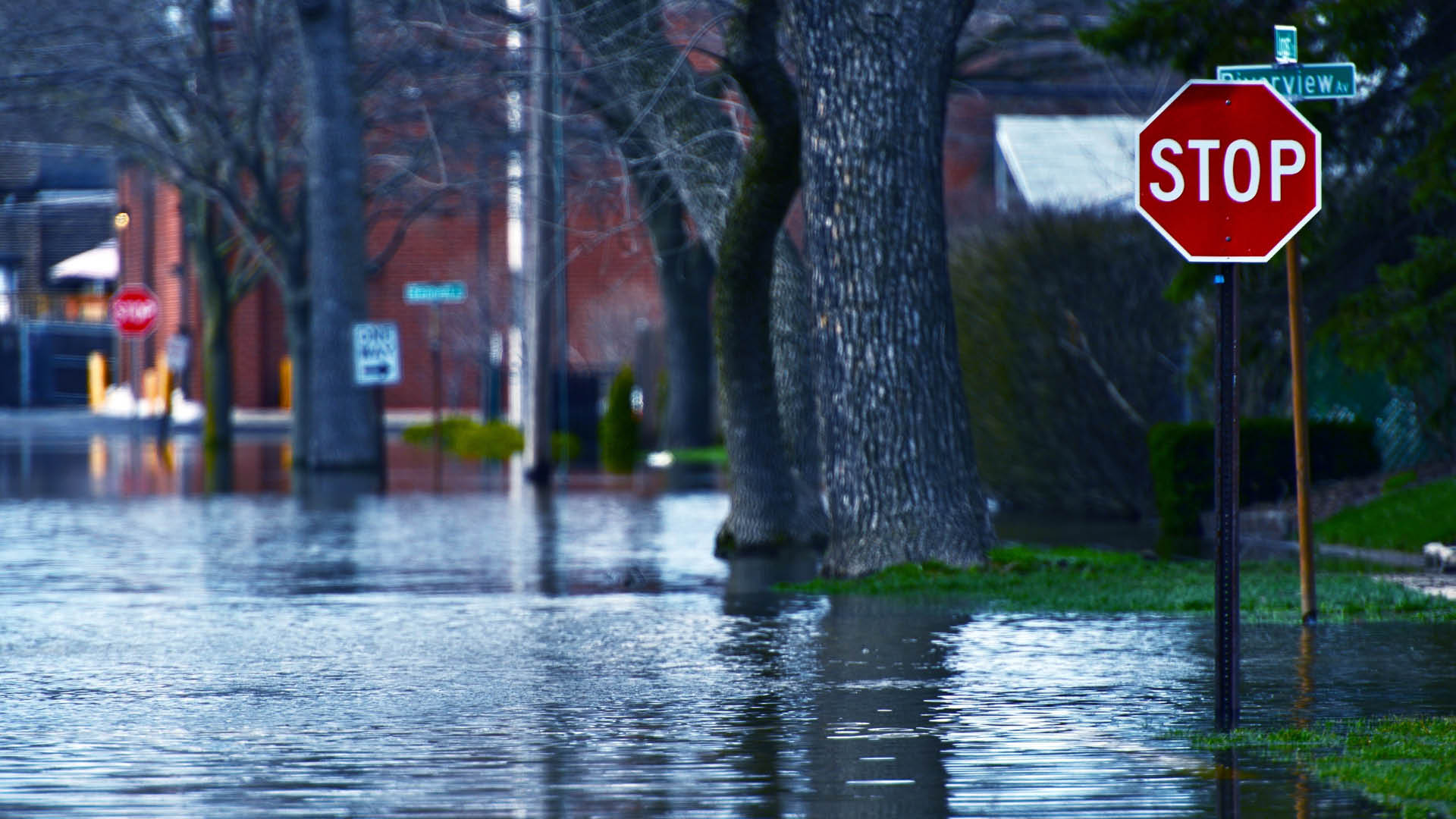 Stop sign on a flooded neighborhood street.