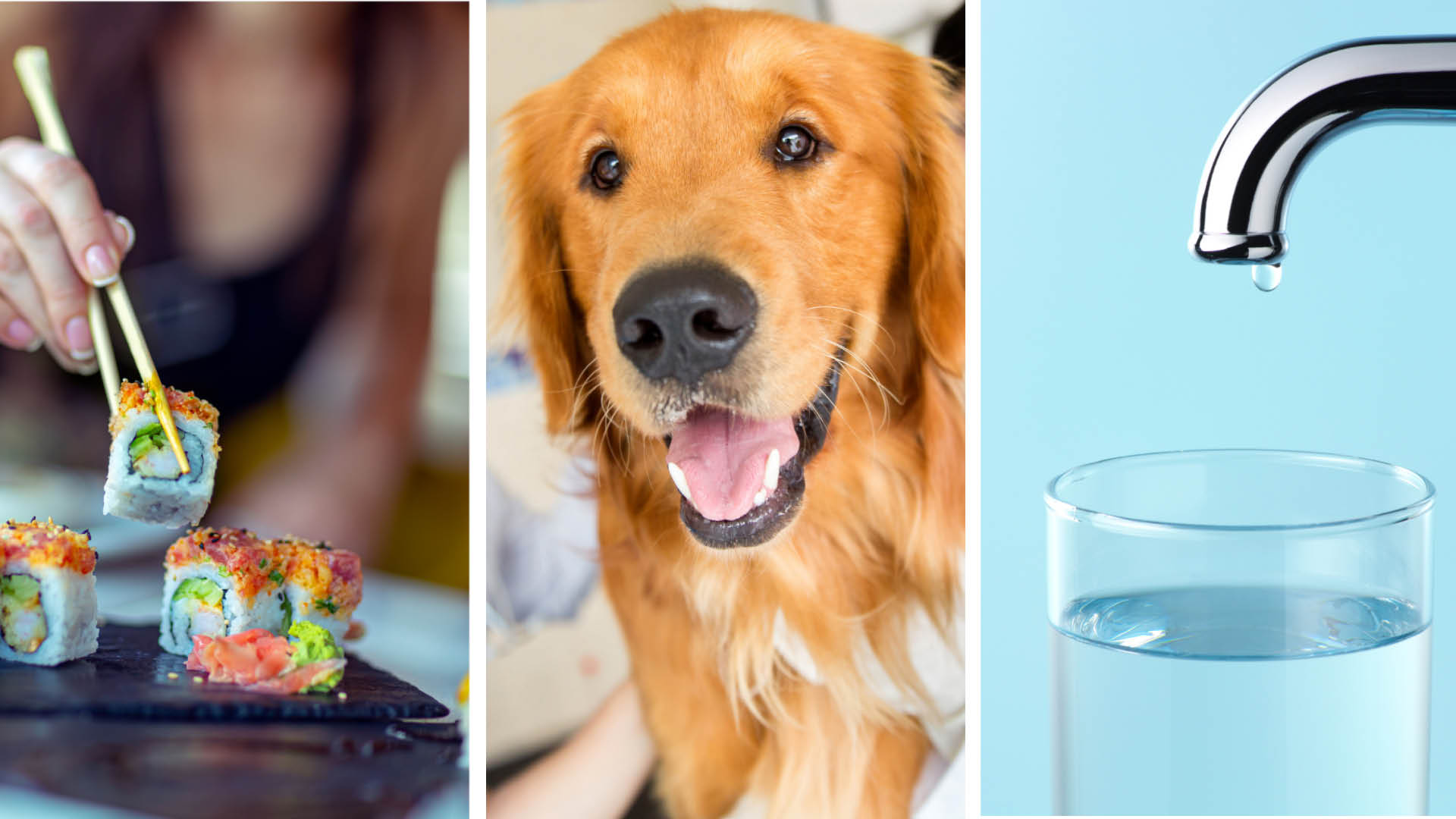 Environmental Health