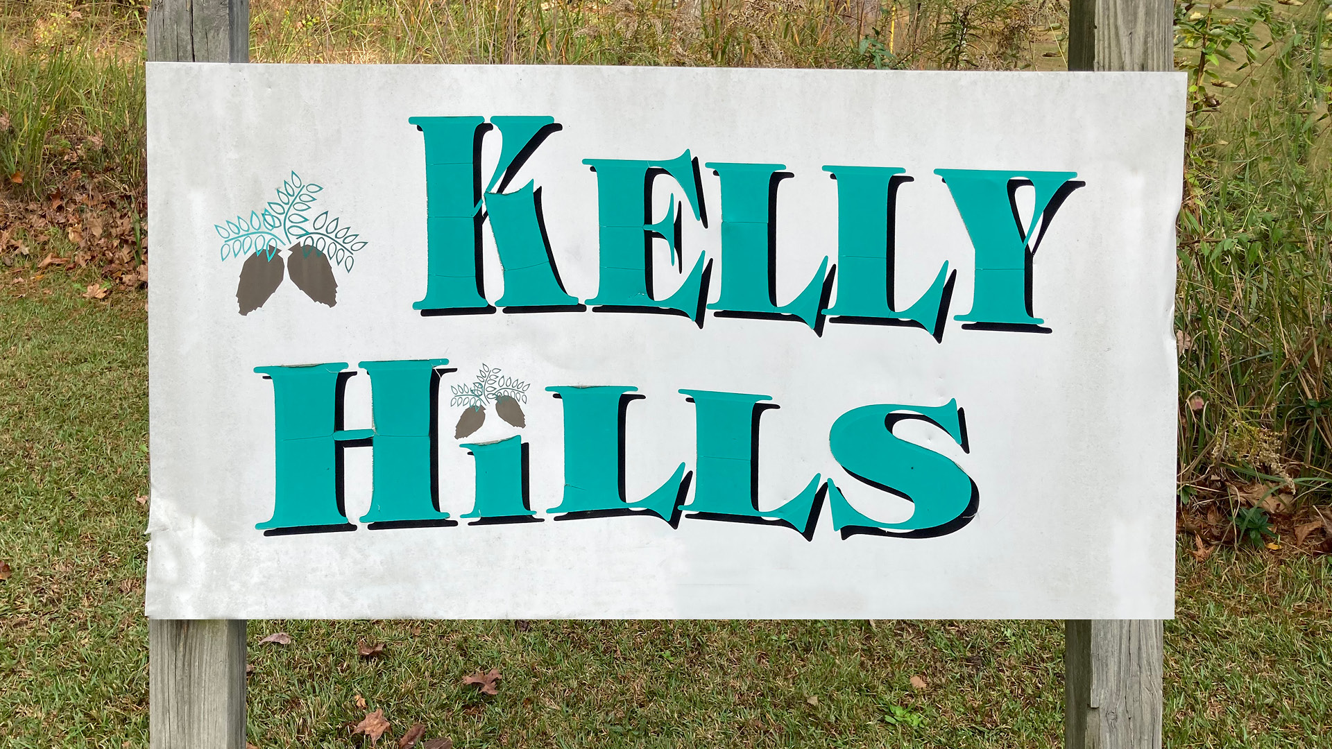 Kelly Hills