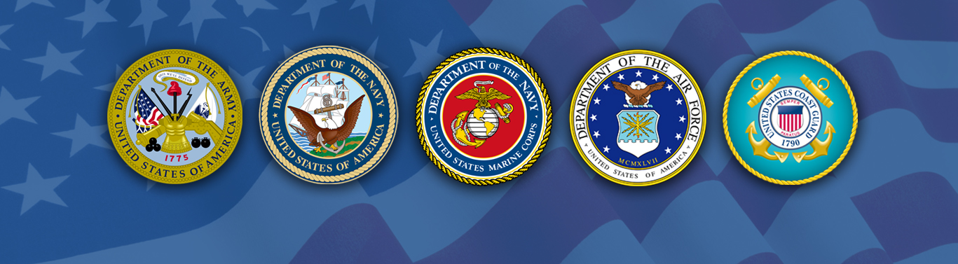 Service seals over American flag background.